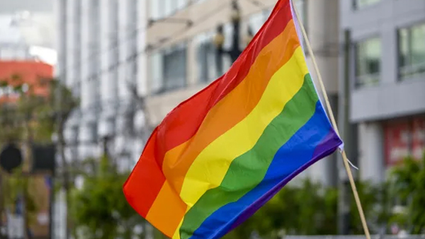 Section 377 judgment